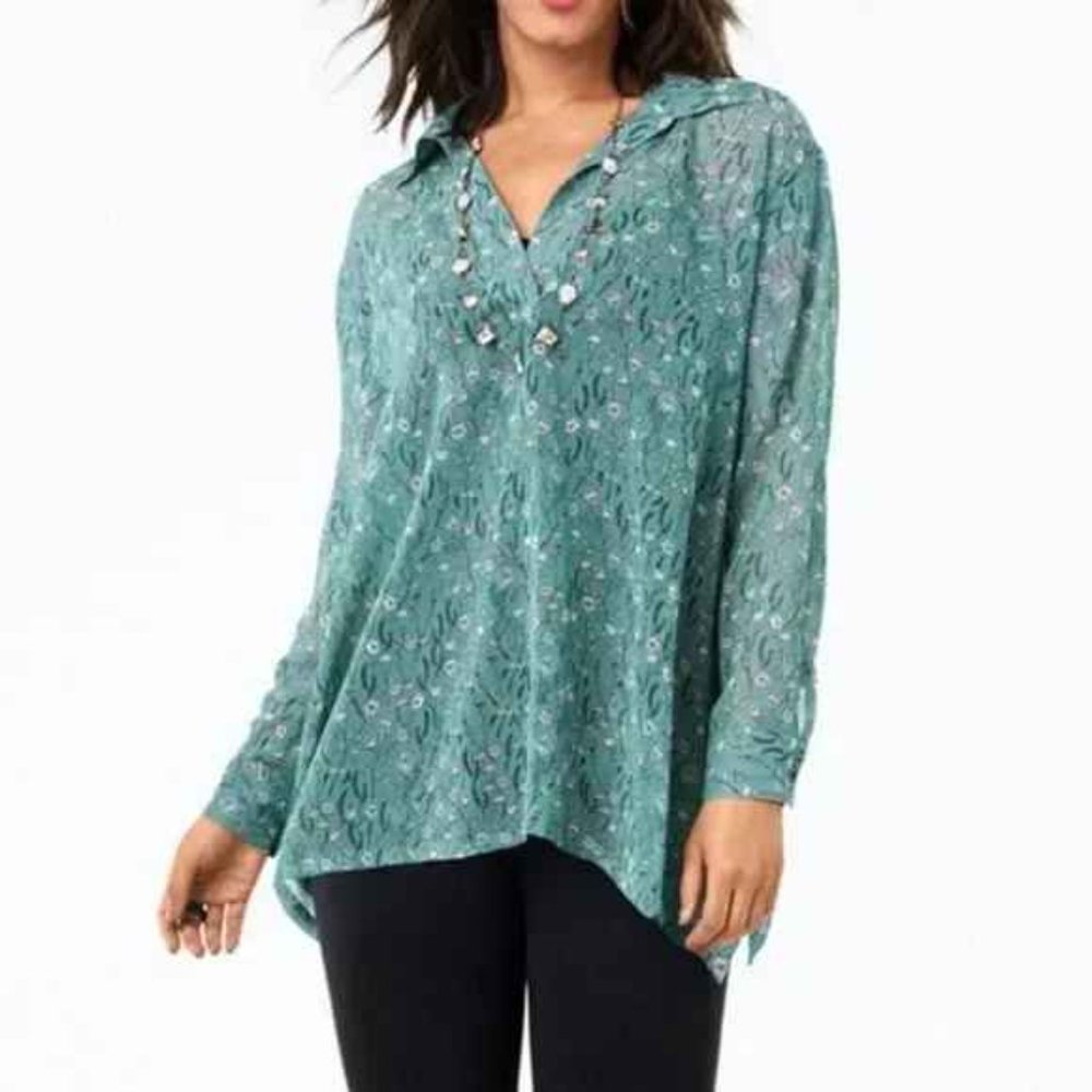 CAbi Chase Field of Flowers X-Small Sheer Long Sleeve V-Neck Blouse EUC - Picture 13 of 13